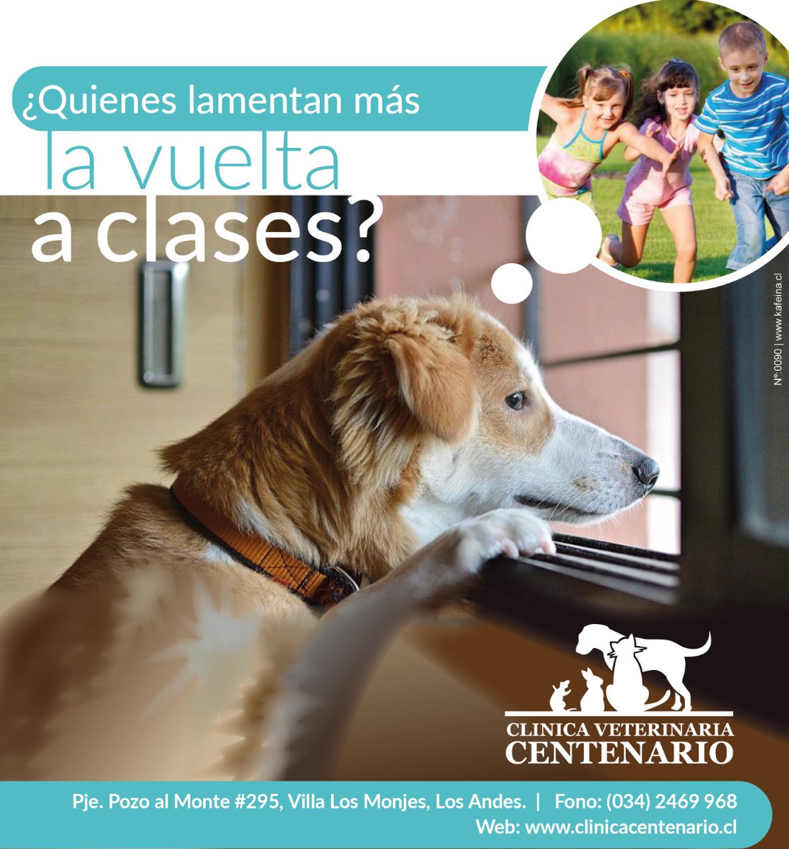 vetcentenario's tweet photo. https://t.co/JpEAuuoGkw