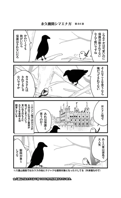 あざといシマエナガと賢いカラス_84
#永久機関シマエナガ
#シマエナガとカラスさん 