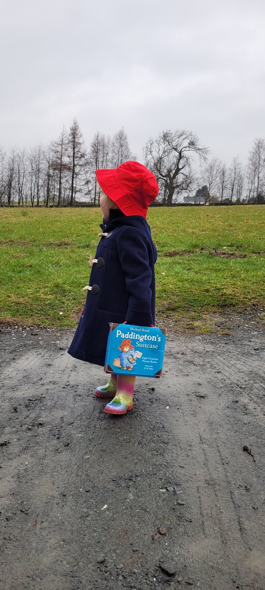 The world is pretty grim, but here's a mini Paddington. #WorldBookDay