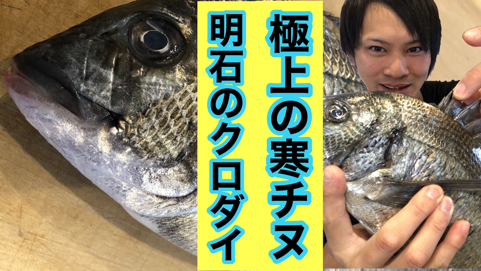 魚とゲームの人 どsssみづき 極上のクロダイが入荷したのでyoutubeに動画載せました 釣り好き魚好きさん是非見て下さい チャンネル登録お願いします 明石の黒鯛が極上すぎてヤバい 黒鯛 チヌ の捌き方と食べ方 T Co Secmusatzg クロダイ