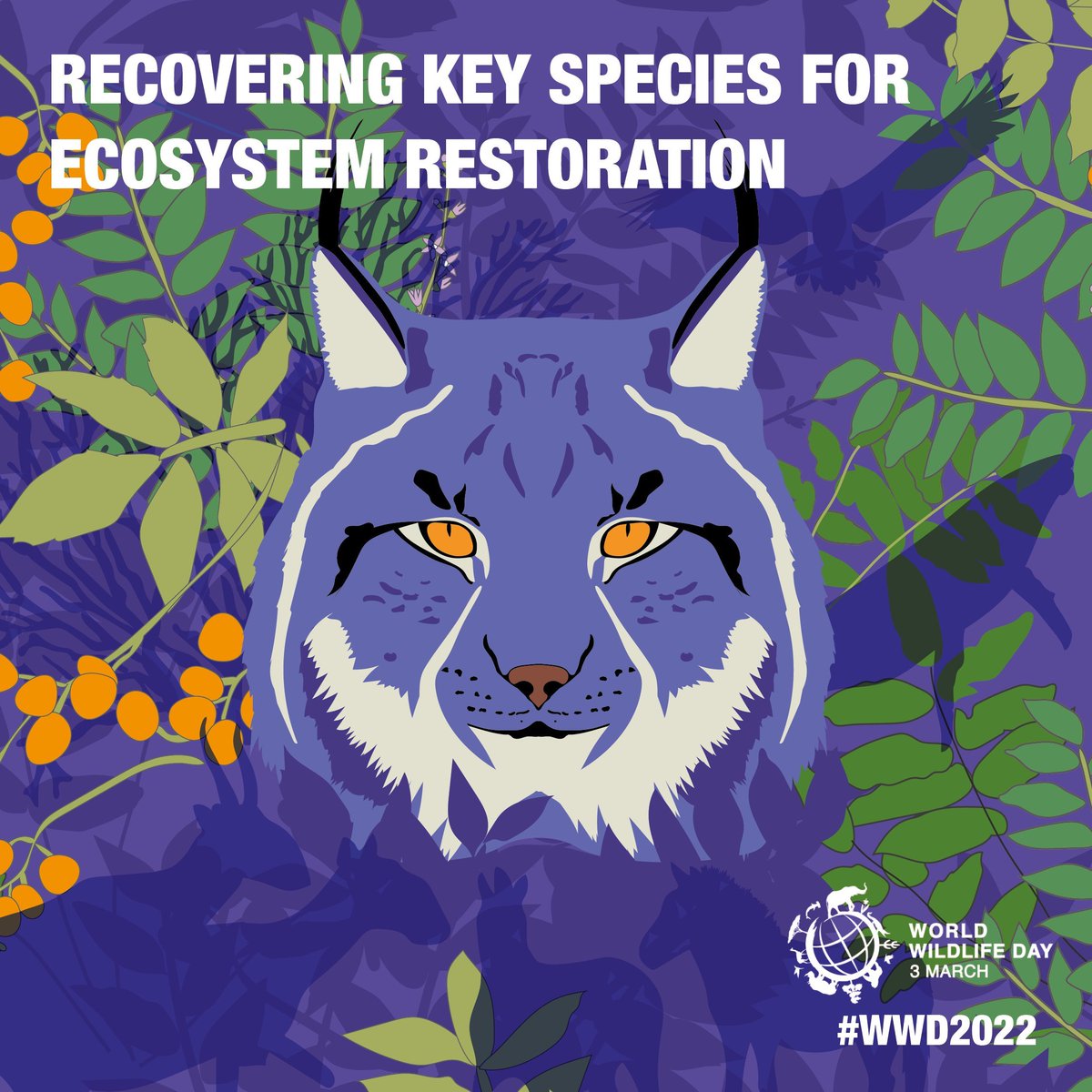 Green_Thinkin's tweet photo. #WWD2022 @WildlifeDay https://t.co/4APO4iaY7v