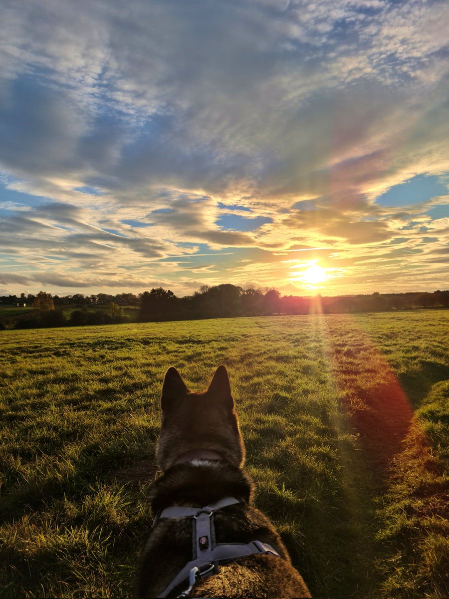 Bella & Sophie tweet media