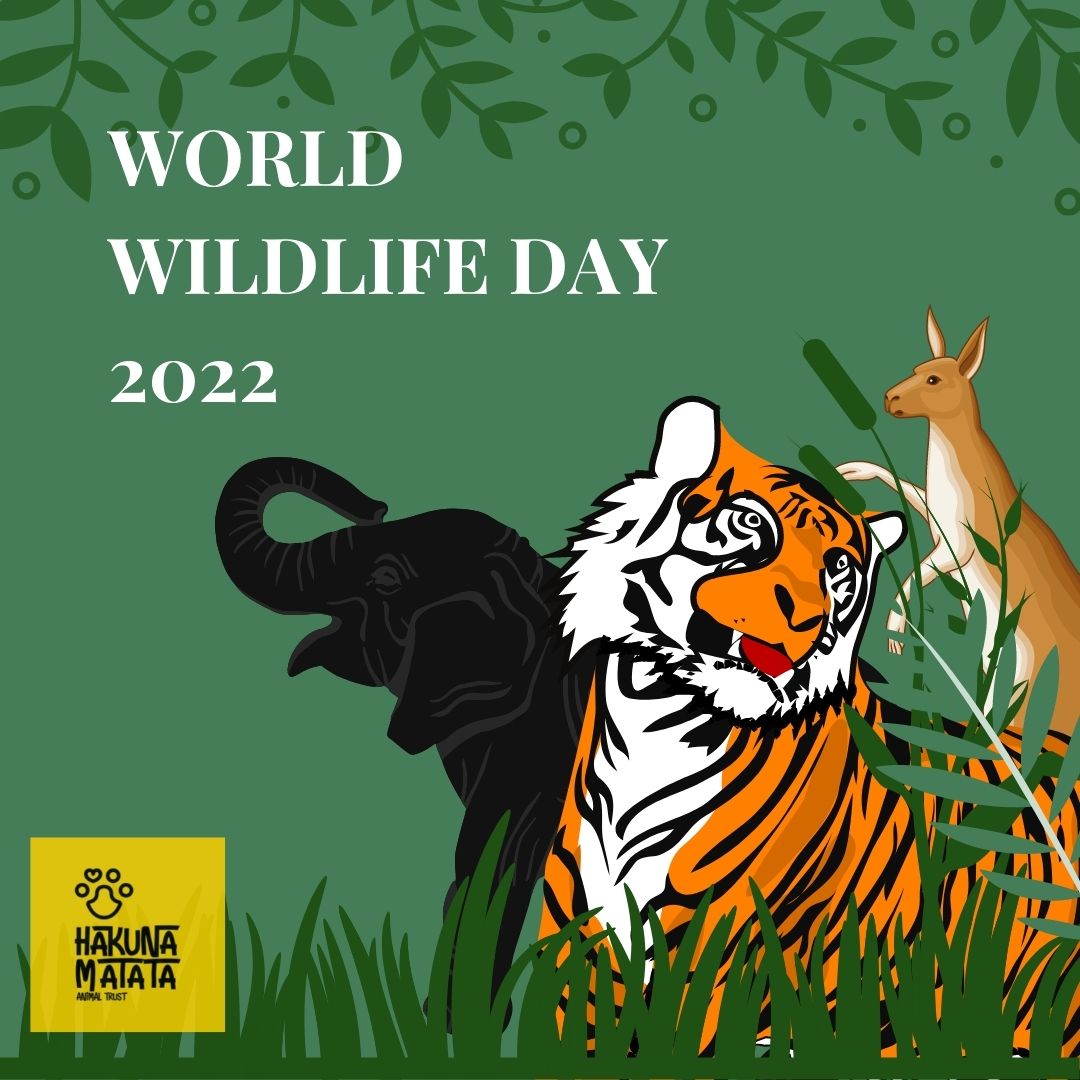HMATIndia's tweet photo. Happy #WorldWildlifeDay everyone https://t.co/8qR5pKnlVS