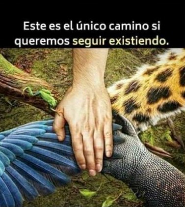 avanzandoacasa's tweet photo. Una sociedad que decide organizarse sin una ética mínima, altruista y respetuosa de la naturaleza, está trazando el camino de su propia autodestrucción.

LEONARDO BOFF https://t.co/B4w2GXudGO
