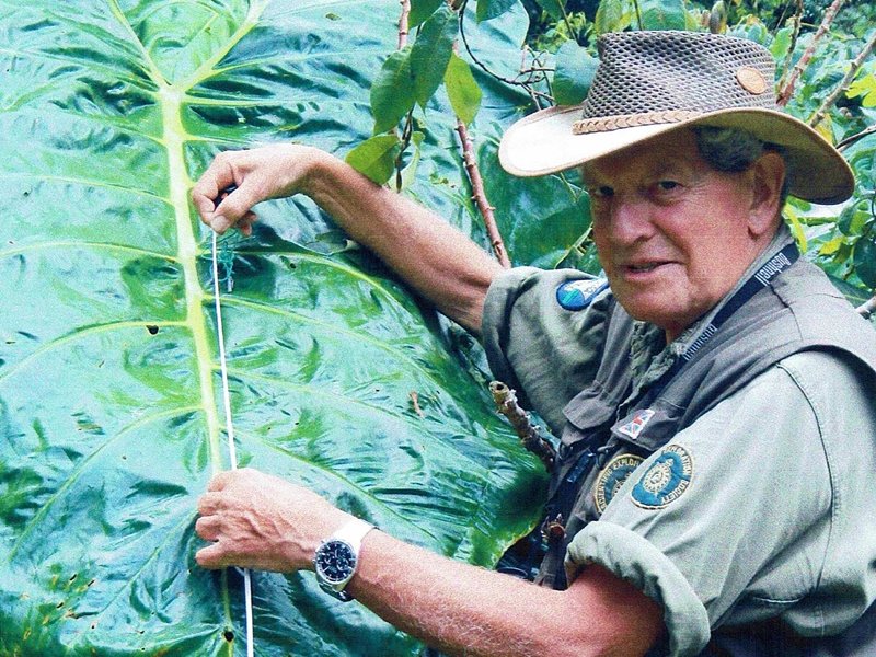 realafrica's tweet image. Support reforestation + celebrate trees with the Virtual Forest!

Send us a selfie of YOU with a TREE 🌳

🙌For every pic we will plant a tree or seedball. 

👉All pics will feature in a GIANT TREE MOSAIC at our exhibitions. 

bit.ly/OurForest
#virtualforest  #WWD2022