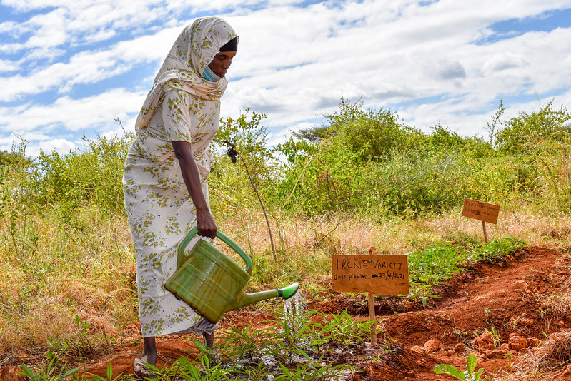 CGIARgender's tweet photo. #Women and girls are effective and powerful leaders and change-makers for climate adaptation and mitigation! @CGIARGender explores how to address the restrictive norms that make them more vulnerable to #climatechange.

👉 https://t.co/4ZwGfmAEuJ #IWD2022 @CGIAR @UN_Women https://t.co/TOFAe57wxq