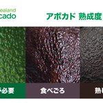 全体的に黒いものが良し!おいしいアボカドの見分け方。