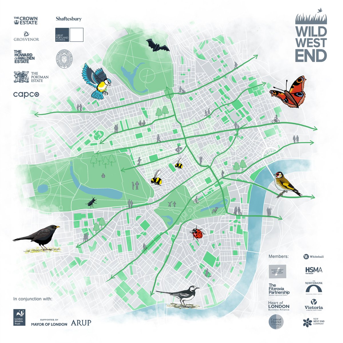 Today is #WorldWildlifeDay2022! This year's theme is 'Recovering key species for ecosystem restoration'. We work all year round to to encourage birds, bees and bats back into central London - you can find out more about our target species on our website ➡️wildwestend.london/target-species