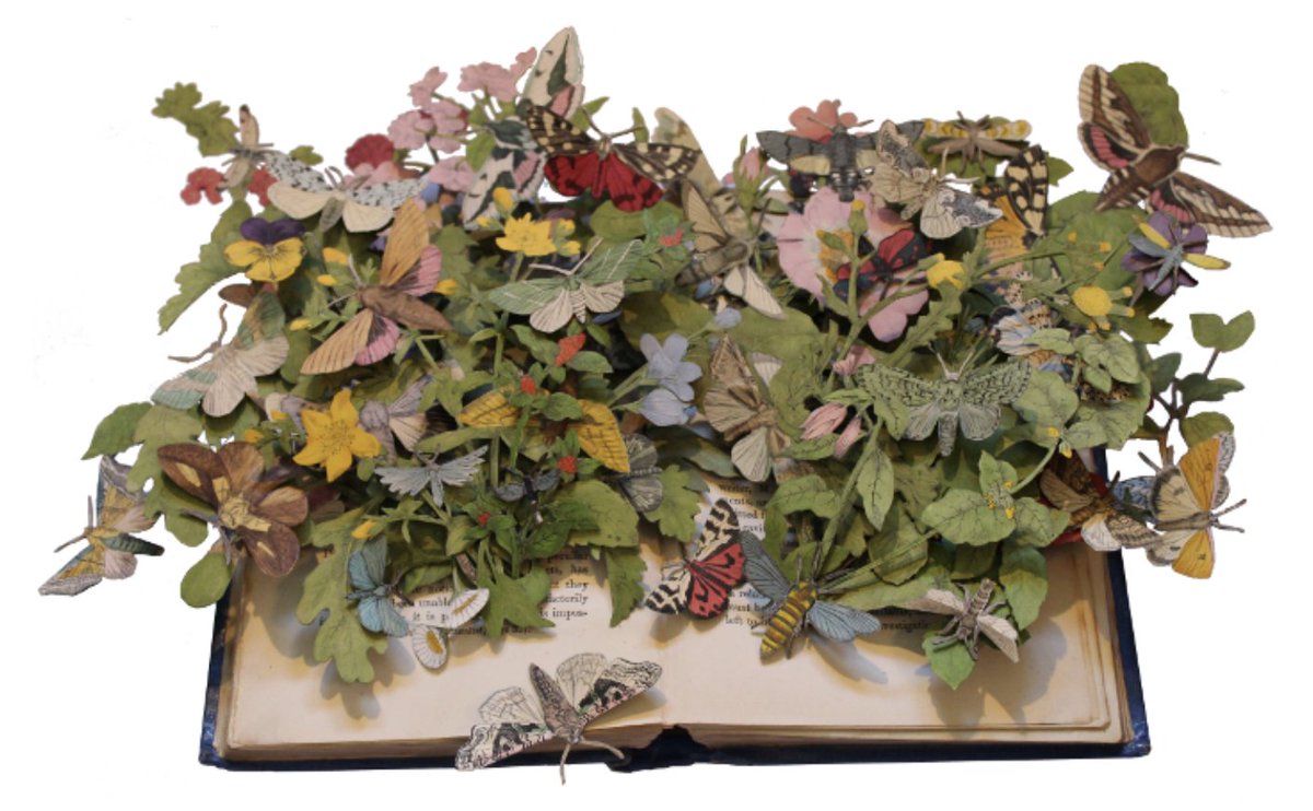 Coblands Garden Centre tweet media