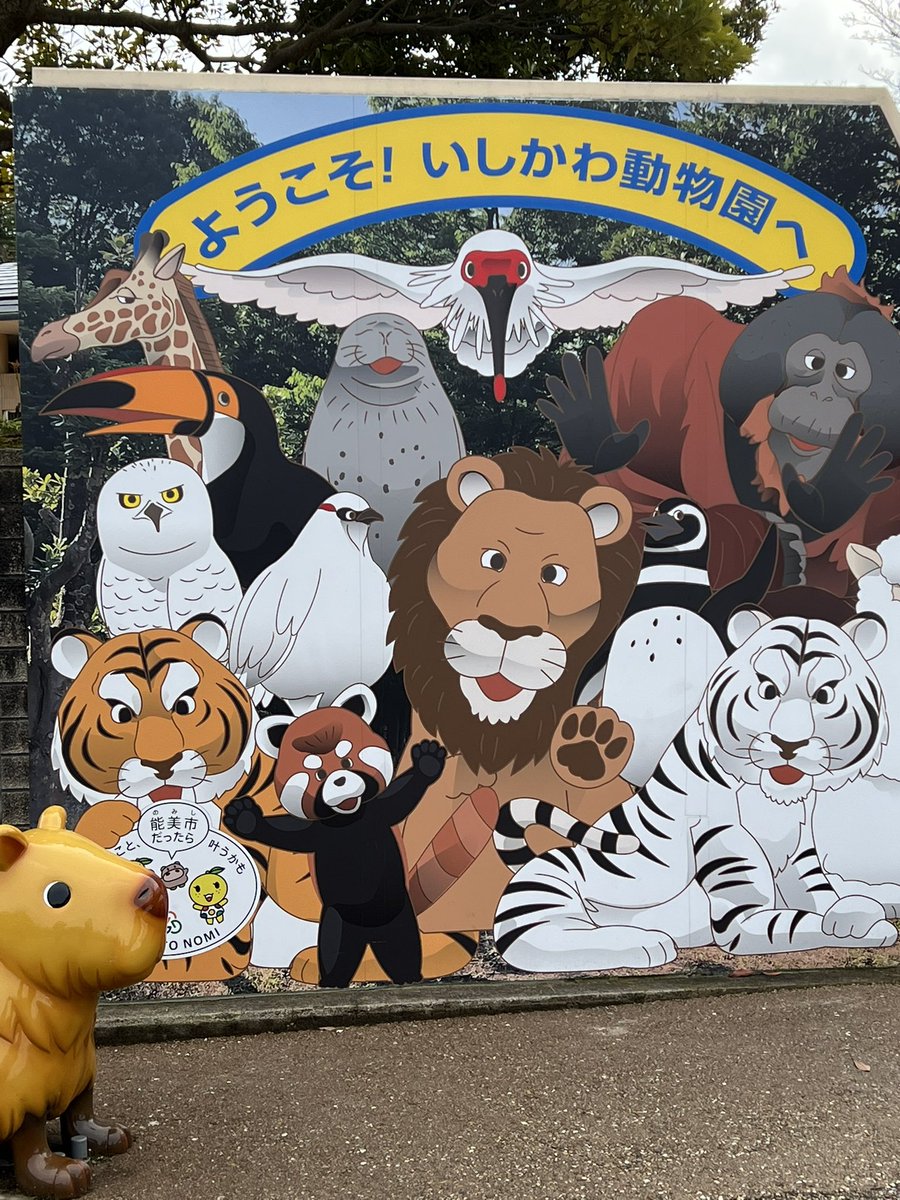 親族のゴタゴタに巻き込まれて疲れた友人を元気づけるため、動物園に行ってきました!(彼女のリクエスト)
でかいもふもふが間近で見られて楽しかったよ。 