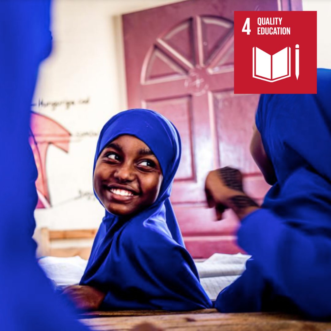 Denmark in Somalia on Twitter: "Together with our partner