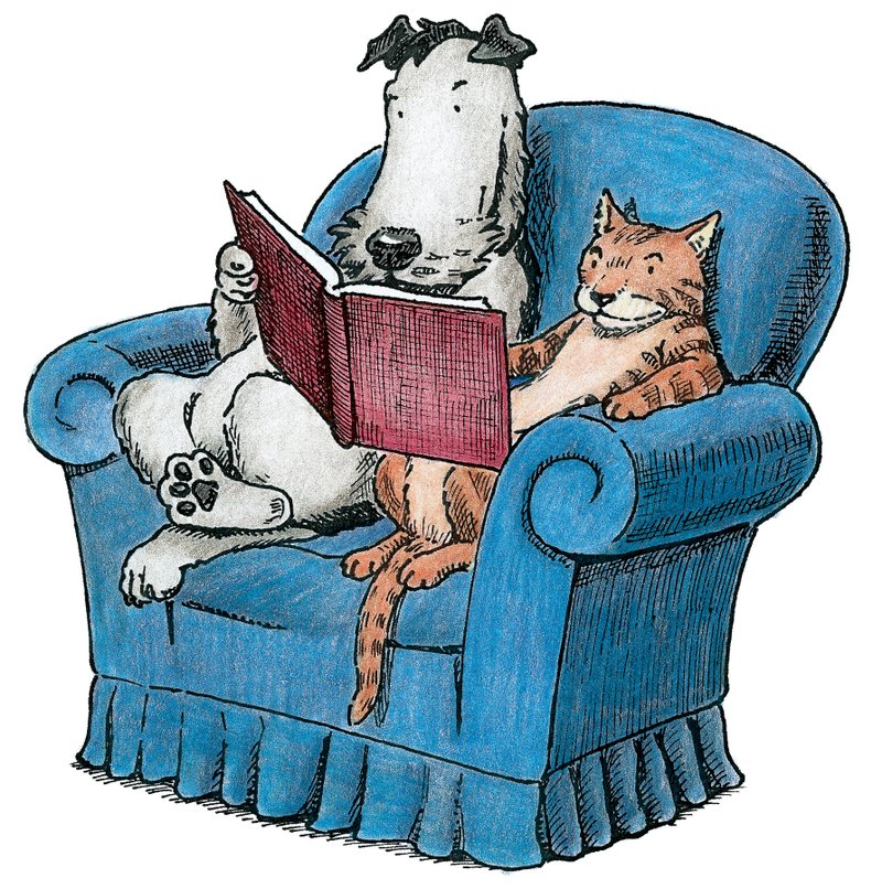 GrovehillAT's tweet photo. Happy #WorldBookDay https://t.co/UALCIwM6go