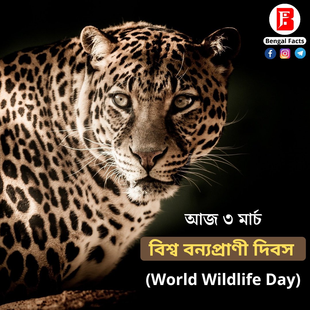 BengalFacts_'s tweet photo. আজ ৩ মার্চ, বিশ্ব জুড়ে পালিত হচ্ছে বিশ্ব বন্যপ্রাণী দিবস (World Wildlife Day)। 

বিশ্বব্যাপী বন্যপ্রাণী এবং উদ্ভিদদের প্রতি জনসচেতনতা বৃদ্ধি এবং তাদের রক্ষা করাই এই দিনের মূল উদ্দেশ্য। 

#বিশ্ববন্যপ্রাণীদিবস #WorldWildlifeDay #wildlifeday #wbcs #wbpsc #wbp https://t.co/VrnUX8X8Eg