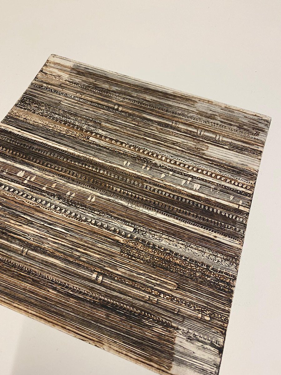 lidaprintmaker's tweet photo. #reliefprint#etching#aquatint#art#artist#fineart#abstract#painting#abstractpainting#lino#linocut#printmaking#print#printmakers#artstudio#etsy#gallery#softground#carborundum#sugarlift#atelier#lidakhani# چاپ دستی#اچینگ#اکواتینت# https://t.co/cHKny7DSIU