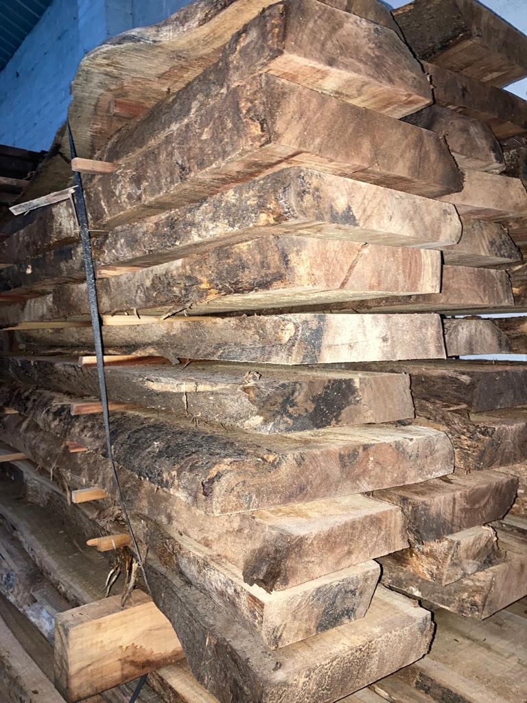 One of our clients stated that he did not want to be the one who used the last primary forest #Teak tree. 
Plantation Teak (grown on degraded former forestland) can sustainably generate quality #timber, meeting the growing demand for legal tropical hardwood. 
#GreenGhana #FLEGT🇬🇭