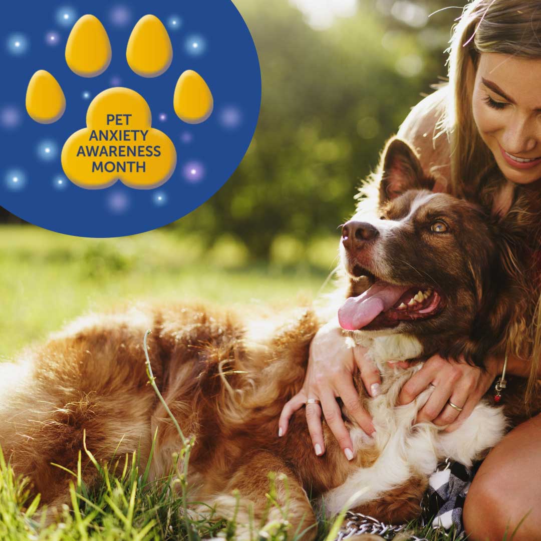 Animed_UK's tweet photo. Did you know March is Pet Anxiety Month?
Pets can suffer from anxiety, just like we do. Find out all about the signs of pet stress and what you can do to help them feel at ease: https://t.co/1faOyOxFHS
#PetAnxietyMonth #Adaptil #Feliway https://t.co/FacQBmWC1M