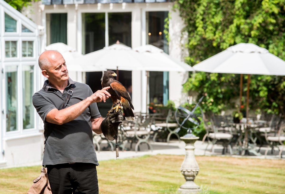This #WorldWildlifeDay, discover the ancient form of falconry right here at Summer Lodge. 

Paul, together with his Harris hawks Bertie, Titch and Bumble, will treat guests to a unique experience.