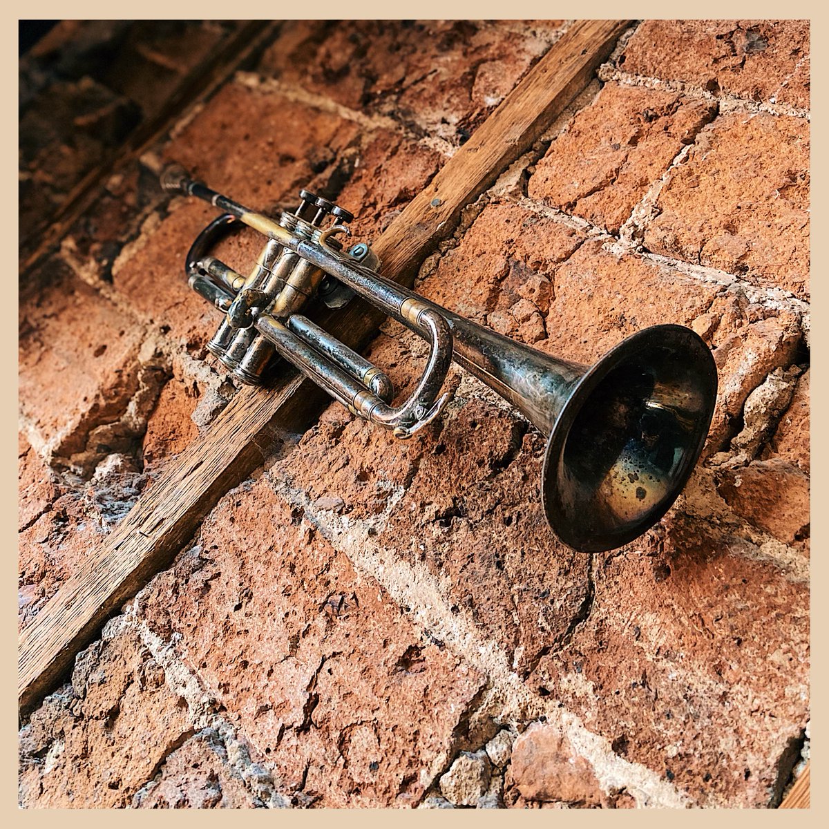 Not to blow our own trumpet... But we've got a big weekend ahead! 🎺

Then head up to The Roost from 10pm for a night of Funk, Disco and plenty of Cocktails! Friday not for you? We open our doors on Saturday from 1pm until 4am 😍
.
.
.
#leedsbars #leeds #leedslife