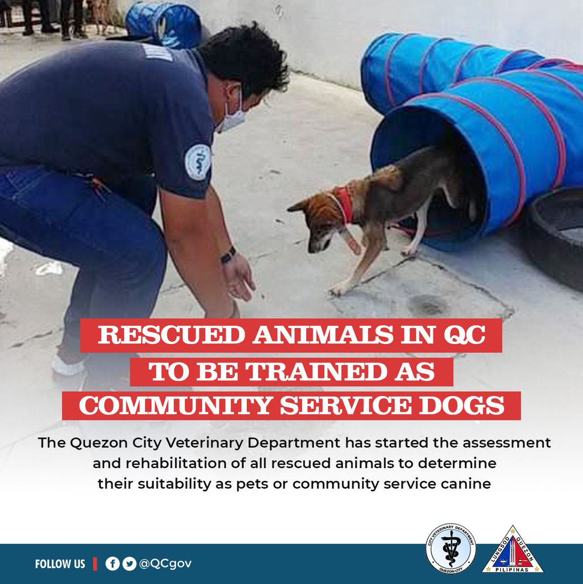 Quezon City Government on Twitter: 