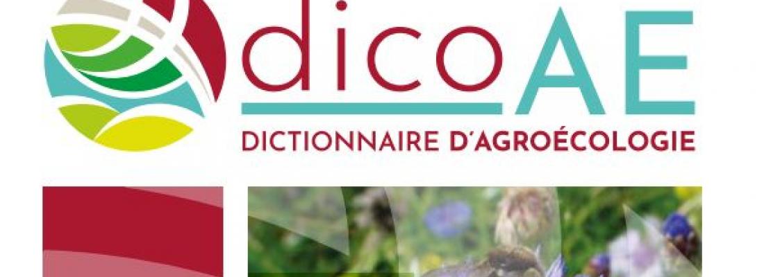 INRAE_Tlse's tweet photo. [#INRAESIA2022] Félicitation aux lauréats du concours du Dico d'agroécologie 🏅👨‍🎓👩‍🎓👏

➡️Des définitions simples sur #agroécologie
➡️Une construction collaborative et interdisciplinaire
➡️Un outil pédagogique pour l'enseignement 👩‍🏫

🔗https://t.co/kC0dg87yHY https://t.co/wb72BncuUj