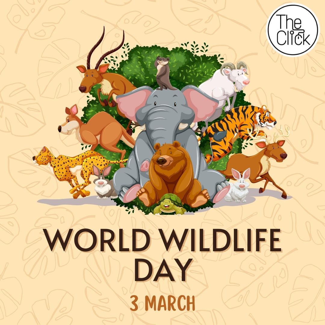 Theclickproduc1's tweet photo. Let this #WorldWildlifeDay be the opportunity to recognize the need to preserve our wildlife including different types of flora and fauna. Every year its preservation is highlighted through this day. 

#WorldWildlifeDay2022 https://t.co/1xfEvZpzbH