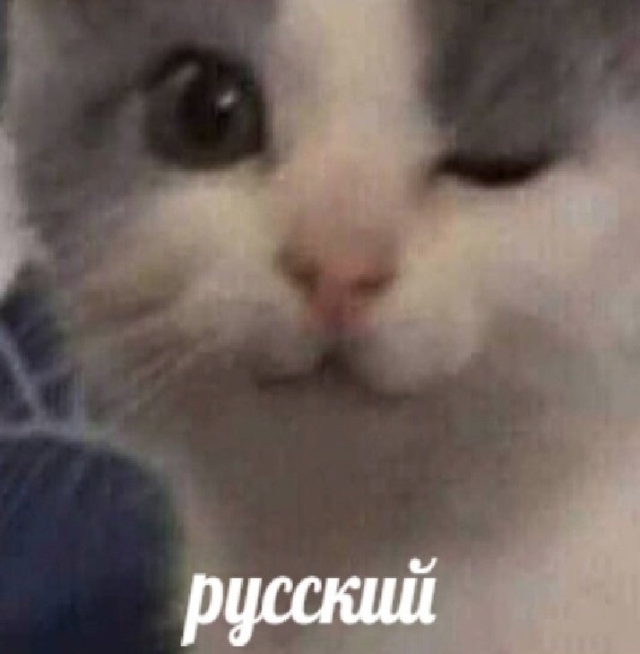 panic_inmylive's tweet photo. Не знаете, что сказать человеку, с которым не хотите общаться? Я нашла решение. Просто отправьте ему эту картинку и он сам вас заблокирует https://t.co/8YB1rSSHf9