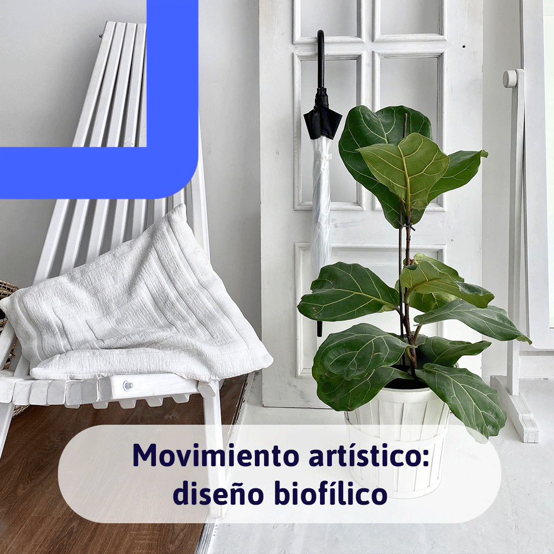 box2boxSpain's tweet photo. ¿Te apetece sentirte bien con tu entorno?
Existe una tendencia que pretende romper el diseño aburrido y típico de casas y oficinas.
¿Aún no la conoces?
No te pierdas todo lo que necesitas saber sobre la tendencia del año. ¡Despierta tus sensaciones! 🌿
➡️https://t.co/z1M6XZRqju https://t.co/H6IFbSVQXz
