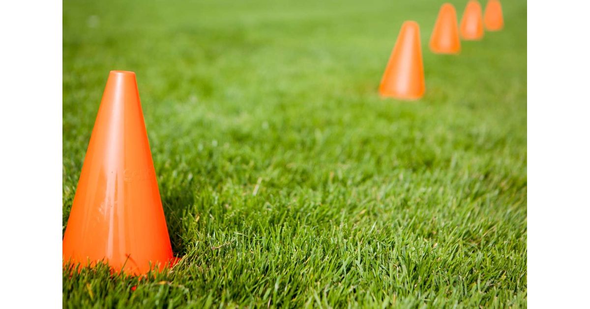 Totnes RFC Newsletter March 2022
pitchero.com/clubs/totnes/n…