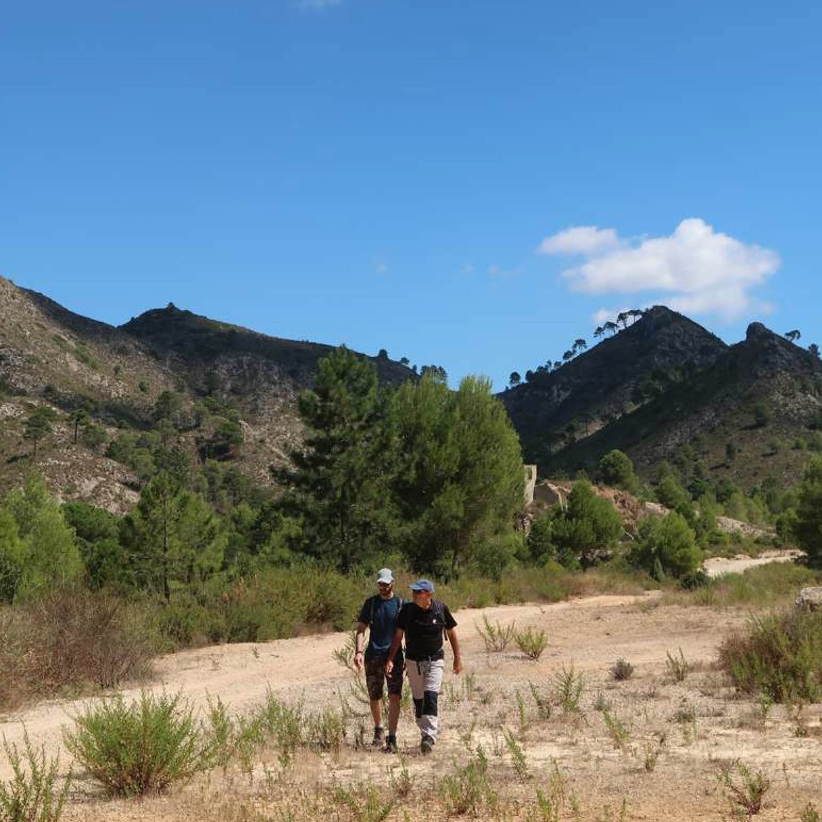 Hui us proposem una 👣 ruta per a valents: la 
Sendera Serra de la Corsa i Serra de Requena de Barxeta.

💪 El recorregut és exigent i de llarga duració, ja 
que s’endinsa en aquestes complexes muntanyes 
en contacte amb el Buixcarró i el massís del 
 Mondúver.

Us atreviu? 😁