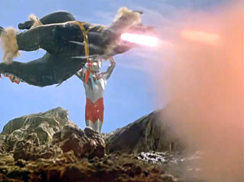 kaiju_tokusatsu's tweet photo. #Geronimon #Ultraman1966 #KaijuDesign #MonsterSuitMaking
https://t.co/Mw26qT9RLi https://t.co/AJ3WePGl0G