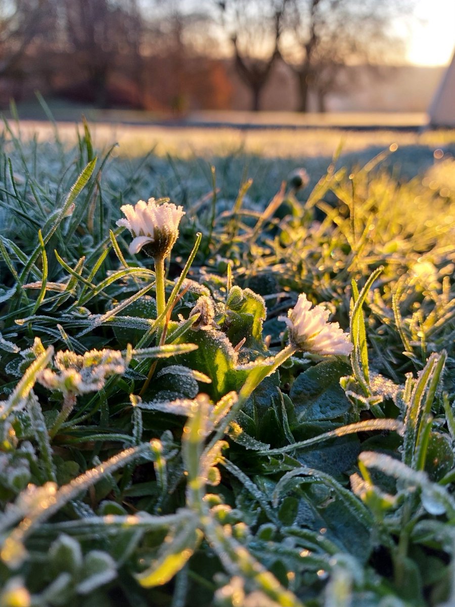 Winners for the Year 10-11 photography competition theme: Winter and Nature 📷🍃

1st Molly 11M
2nd Aisha 10R
3rd Leah 10R 

Thank you everyone who entered, we had so many amazing photographs! 😃
