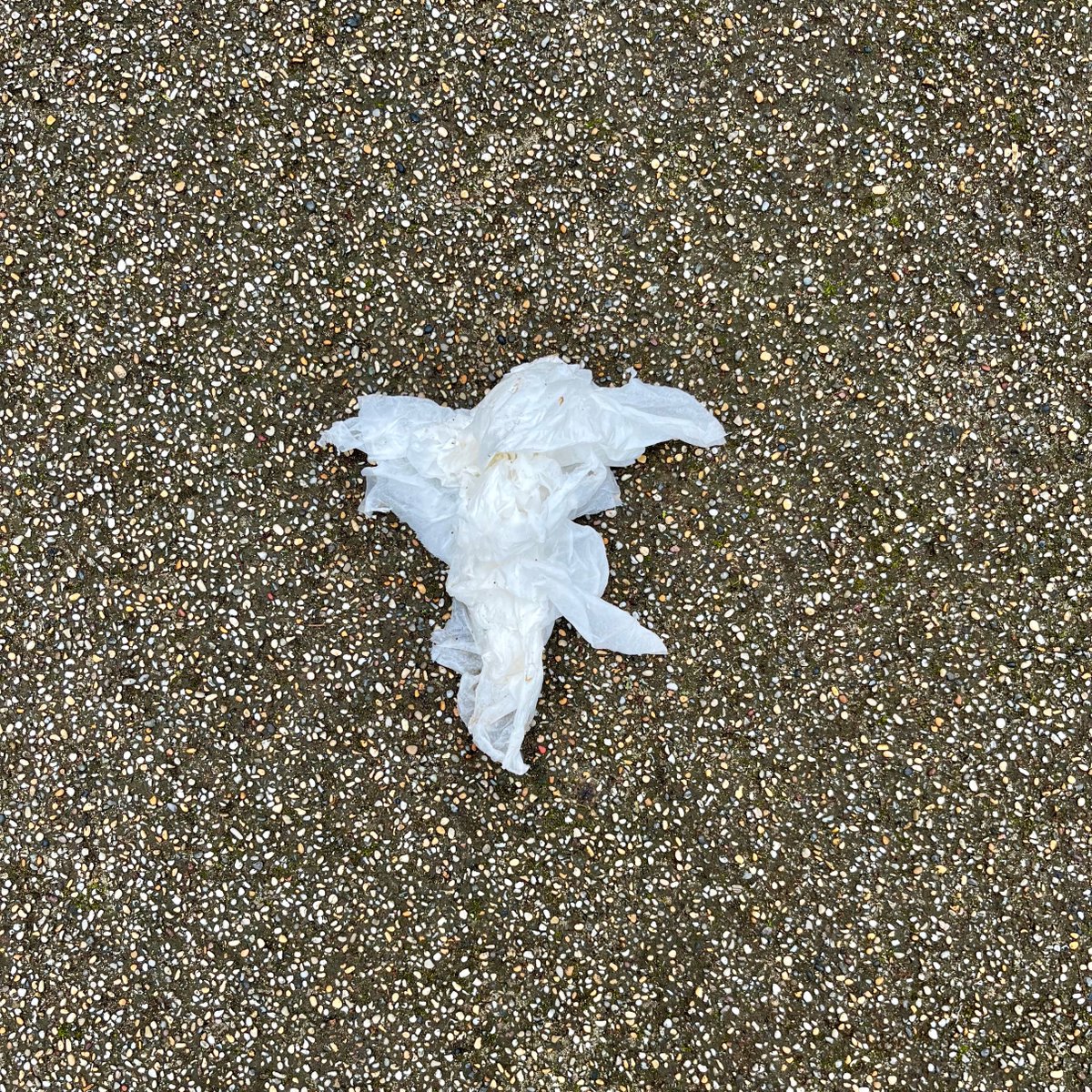 lindahubbardart's tweet photo. Just posted on Instagram, sharing with Twitter chums.

Happenstance Urban Still Lifes.
'Visitation, Dead Angel.'

Photograph ©Linda Hubbard 2022

#visitation  #deadangel #photograph https://t.co/Du2XEXLZbA