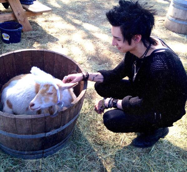 It's.. a.. PUPPY!! And the CUTEST goatie!!
#AnimalThursday
