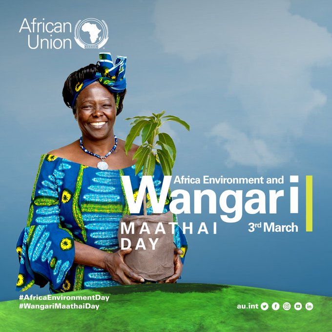 🟩 Happy #AfricaEnvironmentDay!

💚 Today is also #WangariMaathaiDay - 1st #African  Woman to win a Nobel Peace Prize.

📗 We need a just transition that is maximizing benefits of #ClimateAction while minimizing hardships for workers & communities: @ilo

#BuildBackGreener? 🌱