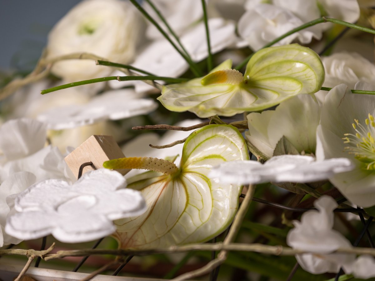 FLOOSWEB's tweet photo. Table centrepiece of paper >> Carles J. Fontanillas has combined the concepts of base and structure into a single element, and so creating a very versatile recipient that offers us a multitude of possibilities.

https://t.co/IqsqvGCWCM

#FLOOS #DiY #StepByStep #MasterFlorists https://t.co/VxGNlTFSws