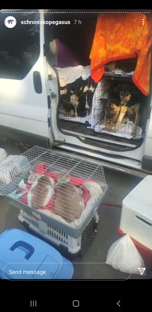 Actions4Animals's tweet photo. #Ukraine #HelpUkraine #animals #UkraineAnimals #dioz @kinga_valentino @ElitaAuto @domdyer70 @Act4AnimalsEU @DeborahMeaden the convoy goes towards Belarus/Ukraine border. There is help available in #Lviv area, no possibility to get to #Kyiv :( . https://t.co/bTfZkXWSXQ https://t.co/KGDqU4KxdQ
