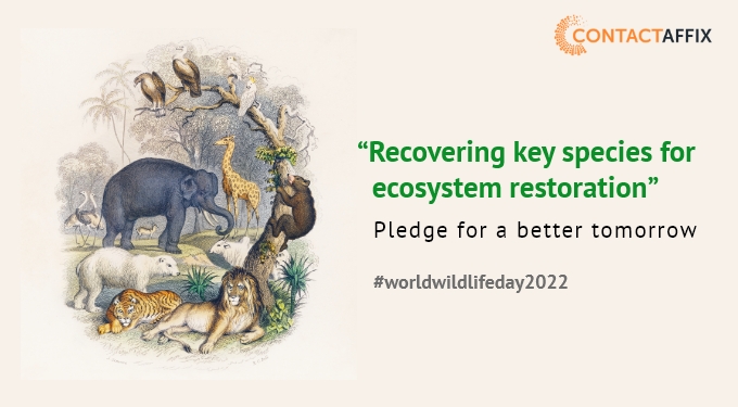 contactaffix's tweet photo. Let's #doonethingtoday everyday to make the earth a better place for everyone around us! https://t.co/V361ozac30