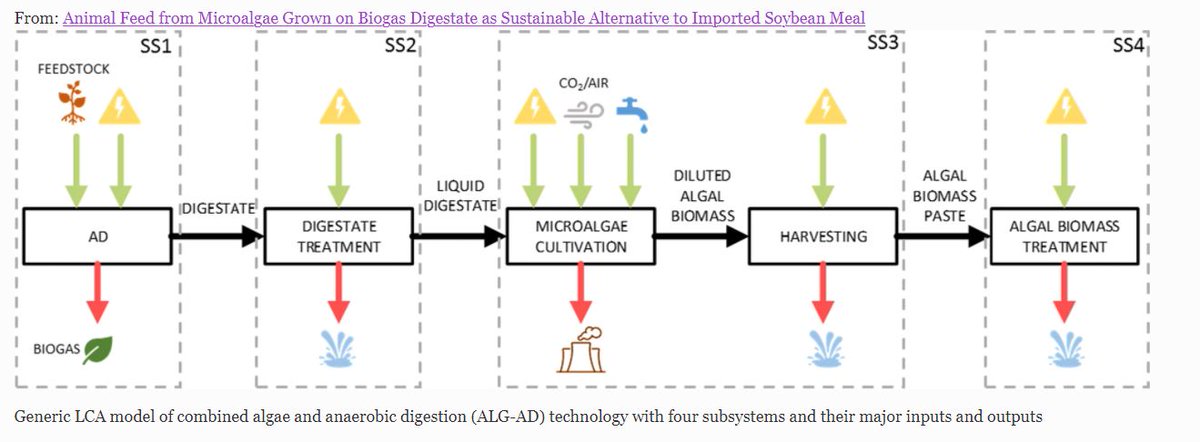 LCA of <a href="/ALGADProject/">ALG-AD</a> is now published by KIT - Karlsruhe Institute of Technology, Germany, Elshamy Mohamed and Christine Rosh

the link to the paper bit.ly/3vCzvHy

#LCA, #algalcultivation, #digestate #wastemanagement