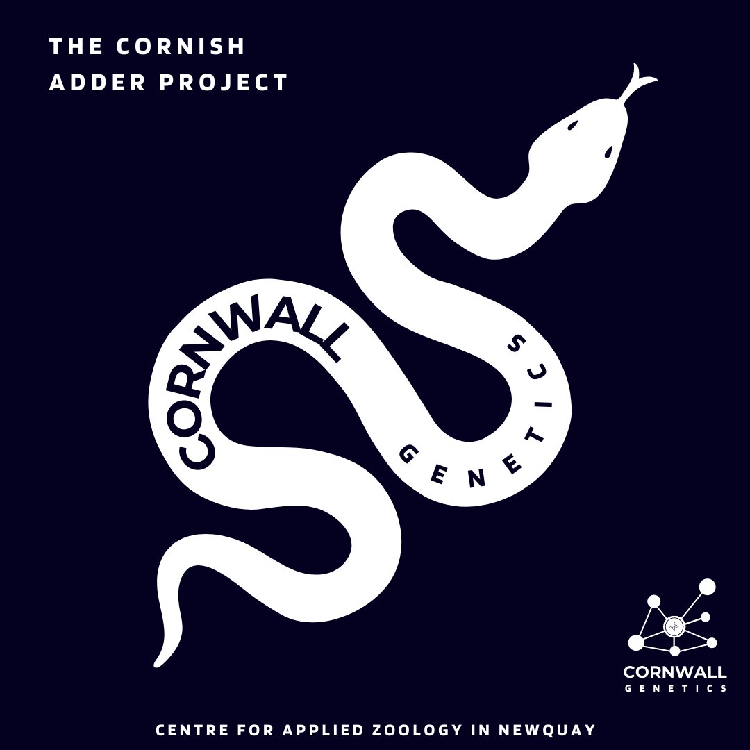 The Cornish Adder Project is a go! We're aiming to start the first genetic population monitoring programme of adders in the county.
🧬Follow the link in our bio for more 🧬