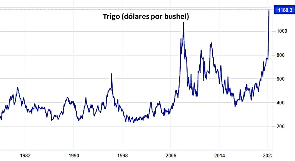 Janneth_QuirozZ's tweet photo. 🌾Los futuros de trigo de Chicago alcanzaron los $1,134.2 dólares por bushel, registrando un máximo histórico, debido a que la invasión rusa a Ucrania provocó interrupciones en el suministro de 2 de los productores más grandes del mundo. En medio de las sanciones occidentales, https://t.co/M3iReB9jS5
