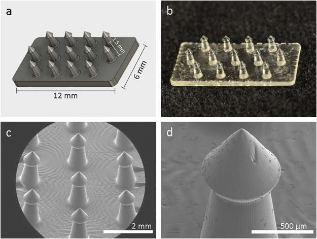New article on 3D printed drug loaded devices to help prevent cancer recurrence that I did as part of my PhD work. <a href="/andyzwang/">Dr. Andy Wang 🇺🇦</a> <a href="/nic_knape/">Nicole Knape</a> <a href="/Joseph_DeSimone/">Joseph DeSimone</a> #bme #3Dprinting #drugdelivery authors.elsevier.com/c/1egVNcI2~~I1K