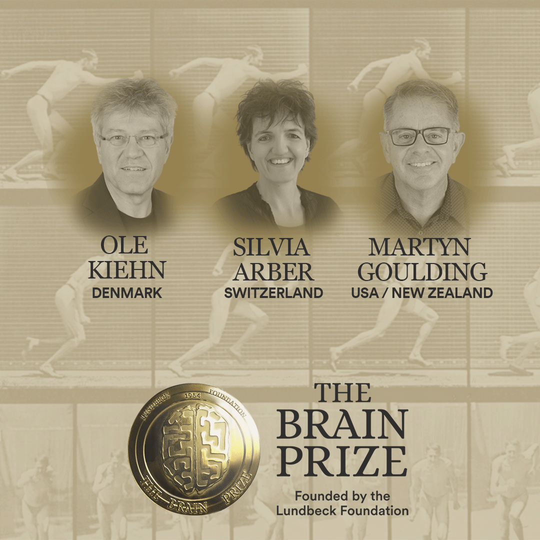BrainFacts.org tweet media