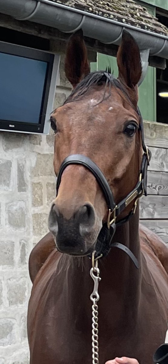 Kelly 🌟 tweet media