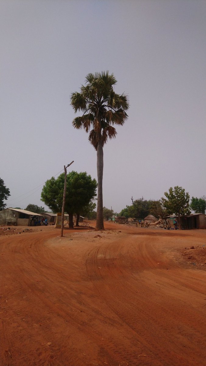 rubbinakm's tweet photo. Informative week in Sekondi-Takoradi and Tamale for UKAid cities project.  Learning from community and municipal authorities, about the challenges of flooding, how people adapt. Exploring sea defences, urban expansion, rivers and drains #SDG11 #NatureBasedSolutions @UKinGhana https://t.co/nMiu7HRYkc