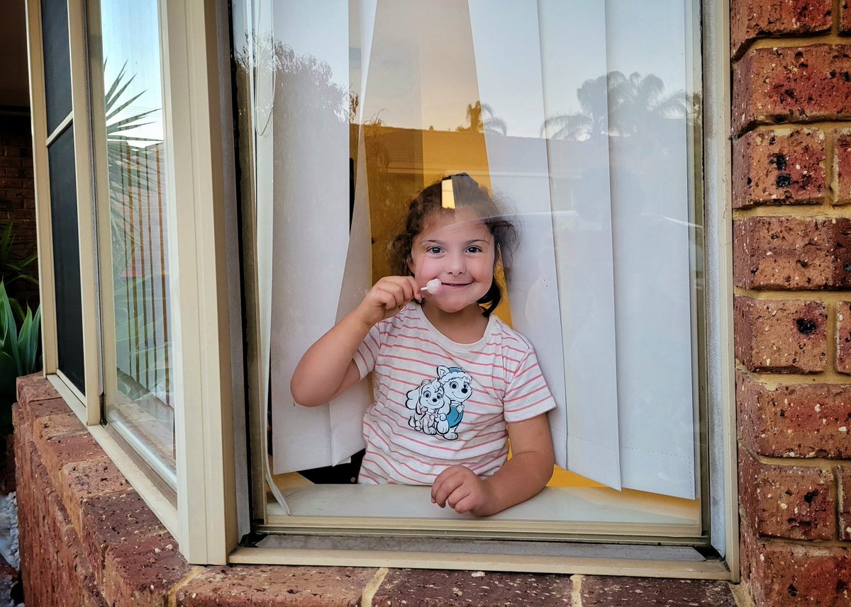 Briana Shepherd tweet media