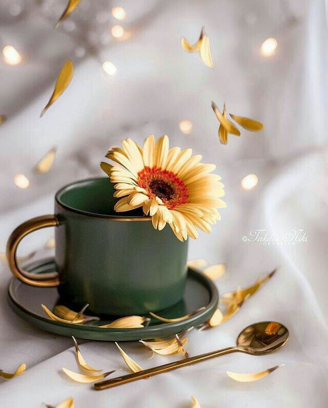 #نماز_قائم_کرو
دل کے صــــــــــــــــاف ہوجائیں...!!_ 
_رب کے خــــــــــــــــاص ہو جائیں....!!🌹♥️🌹_