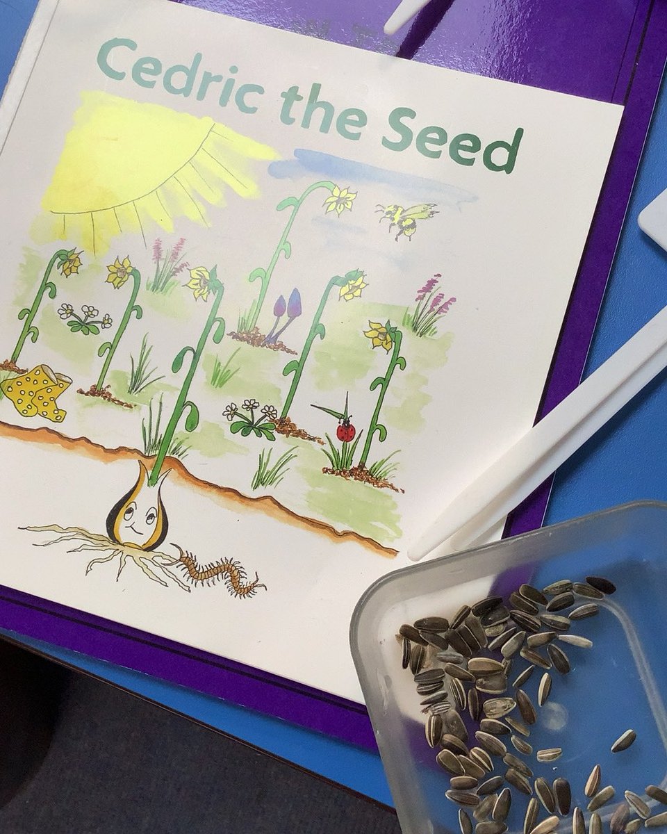 Miss_W_YTP's tweet photo. Today we have read a story about Cedric the Seed, sunflowers 🌻 are the national flower of the Ukraine 🇺🇦. We planted sunflowers too “on the darkest of days a sunflower will stand tall and find the light” #SunflowersForUkraine #WorldBookDay @YewTreePrimSch @TrustVictorious https://t.co/OOZL31LXsf