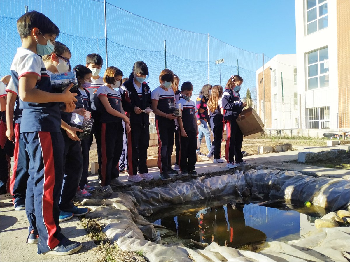 colegio_alameda's tweet photo. 🌳 En el #DíaDeLaNaturaleza os enseñamos una de las actividades que han realizado los alumnos de 4º de Primaria en su #UnidadDeIndagación: Verde que te quiero verde.

🟢 Han utilizado material reciclado para plantar semillas en el #huertoEscolar, aprendiendo a cuidar su entorno. https://t.co/LyhkzWyHuP