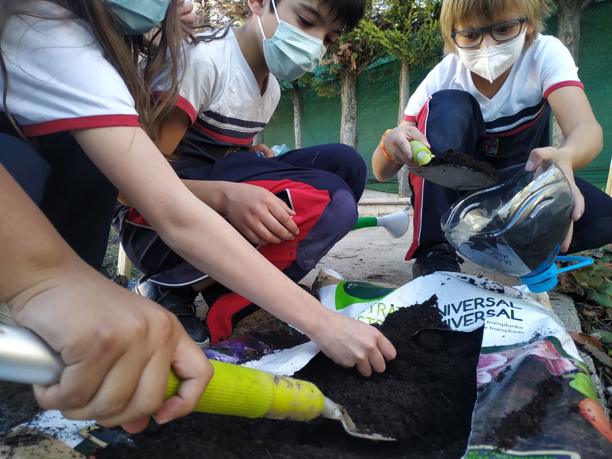 colegio_alameda's tweet photo. 🌳 En el #DíaDeLaNaturaleza os enseñamos una de las actividades que han realizado los alumnos de 4º de Primaria en su #UnidadDeIndagación: Verde que te quiero verde.

🟢 Han utilizado material reciclado para plantar semillas en el #huertoEscolar, aprendiendo a cuidar su entorno. https://t.co/LyhkzWyHuP