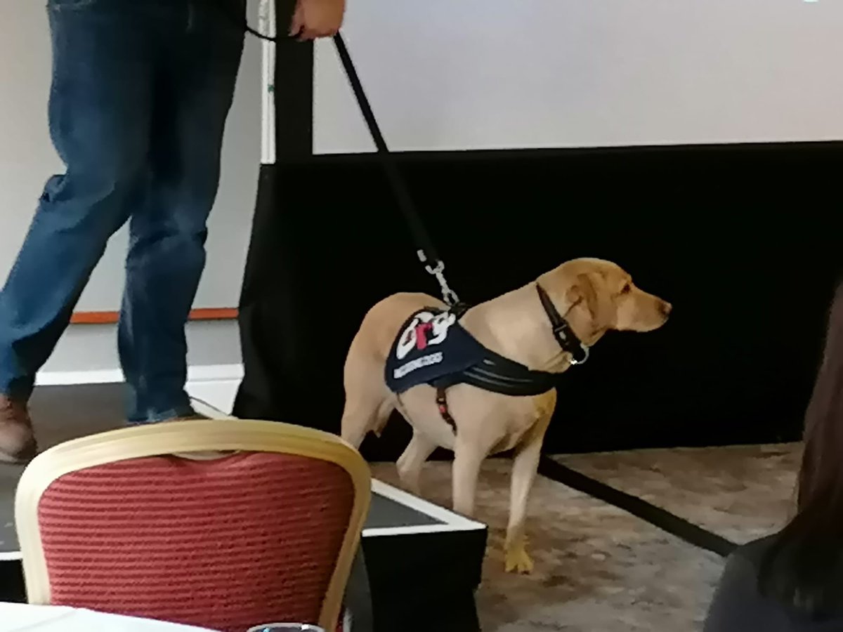 Proud to present our Paws and PTSD presentation to the OK9 conference <a href="/OscarKiloUK/">Oscar Kilo</a> <a href="/OscarKiloNine/">OscarKilo9</a> <a href="/WD_Whispa/">PWD Whispa - OK9</a> <a href="/FlintHouseRehab/">Flint House Police Rehabilitation®</a> @cambsfederation @LeicsFedSec